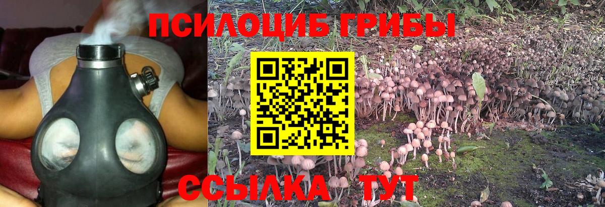 Галлюциногенные грибы Magic Shrooms  Вход с VPN  купить закладку  Азов 